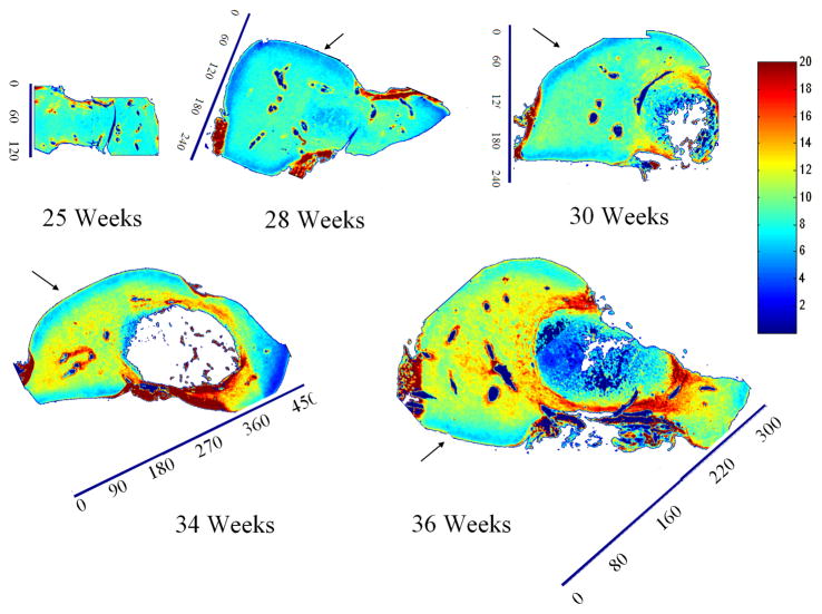 Fig. 8