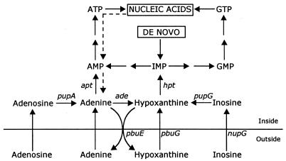 FIG. 1.