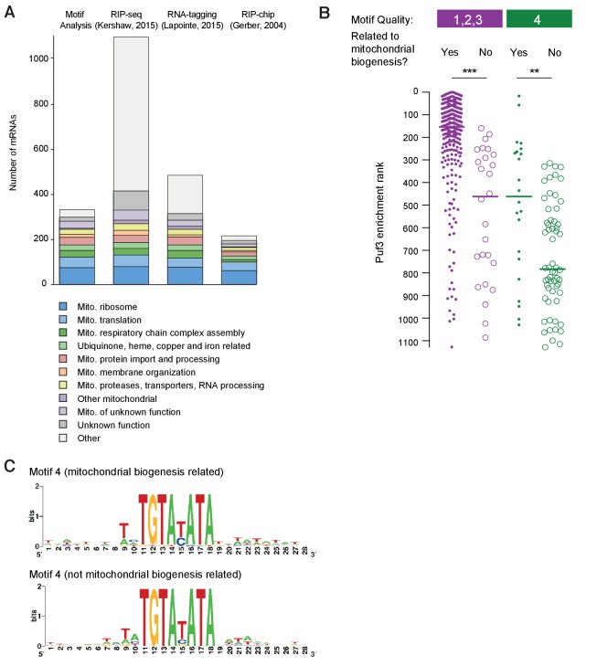 Figure 6—figure supplement 1.