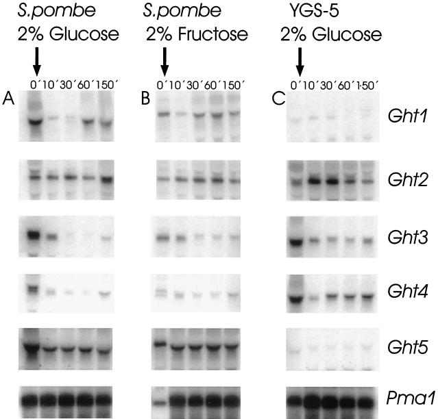 FIG. 4
