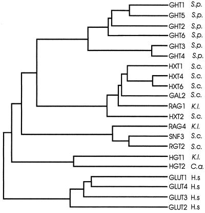FIG. 1