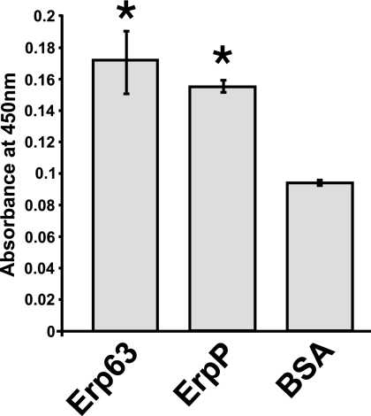 FIG. 9.