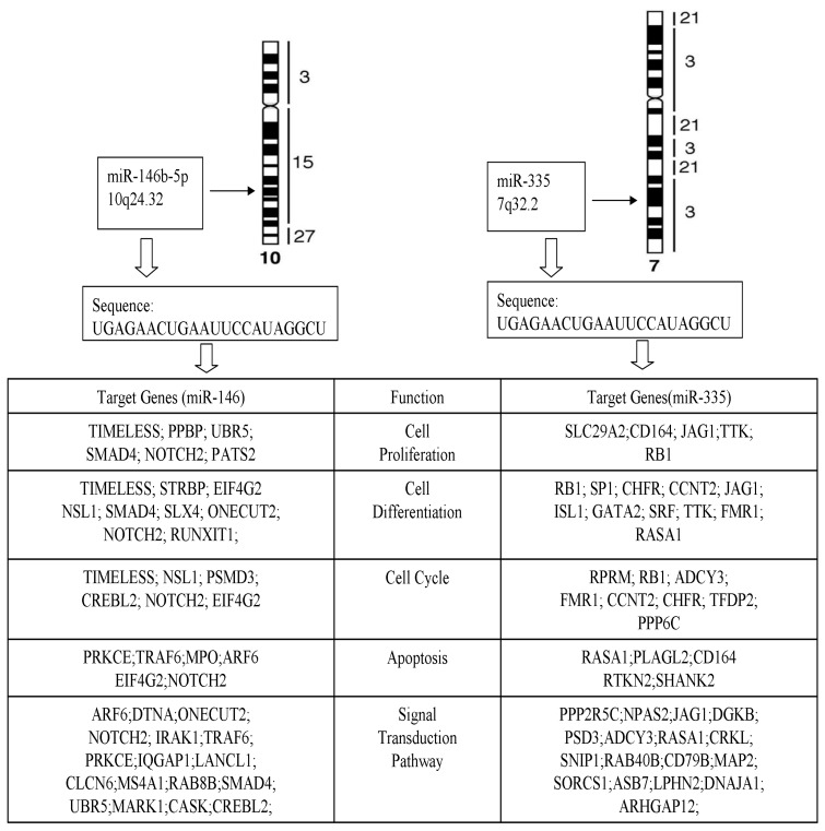 Fig 5