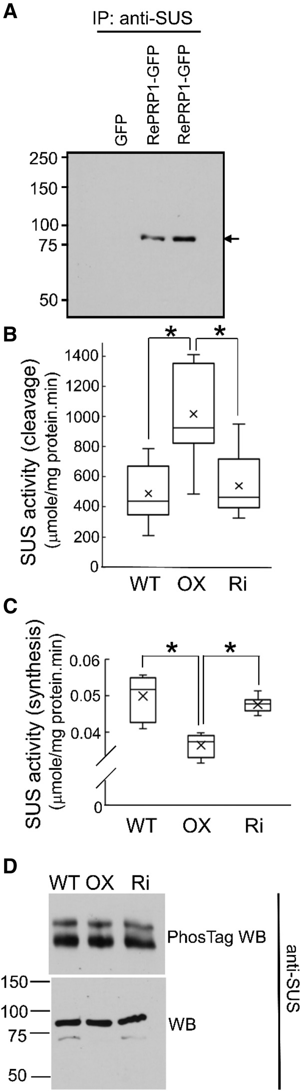 Figure 9.