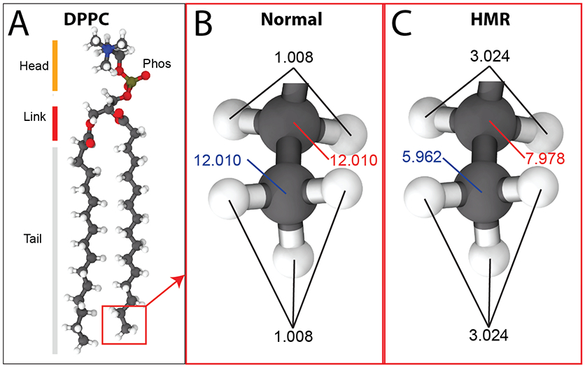 Figure 1: