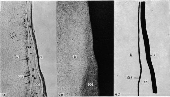 Fig. 9