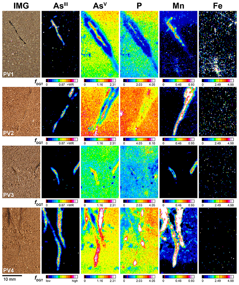 Fig. 3