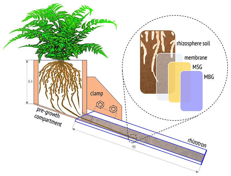 Fig. 1