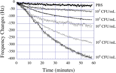 Figure 24.