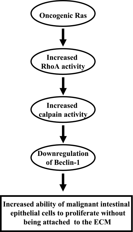 FIGURE 10.