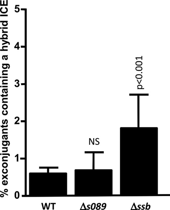 Fig 5