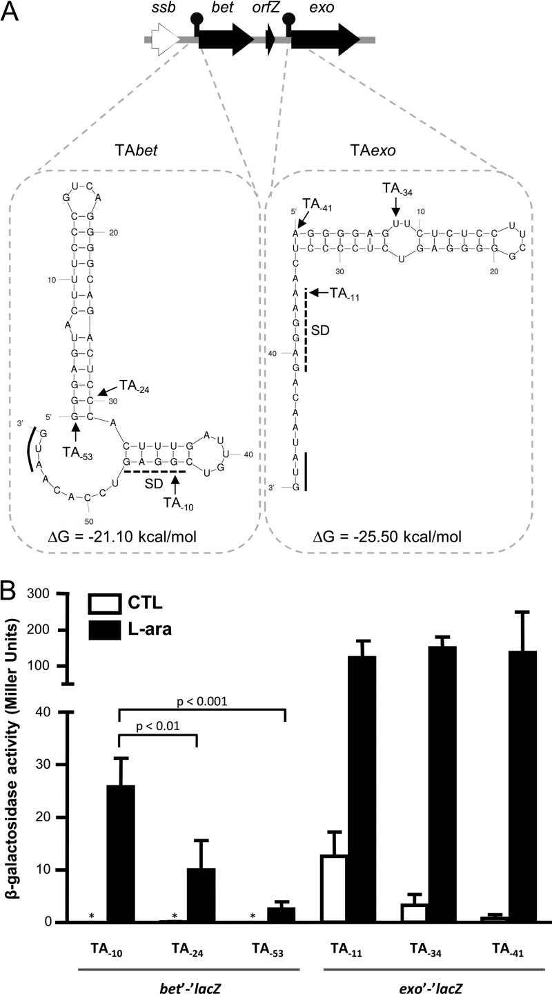 Fig 7