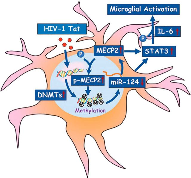 Figure 9.