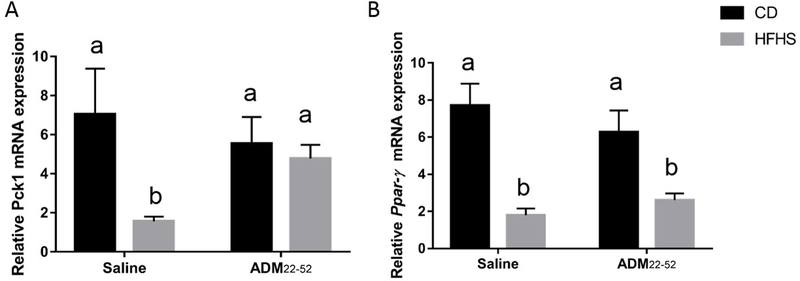 Figure 6: