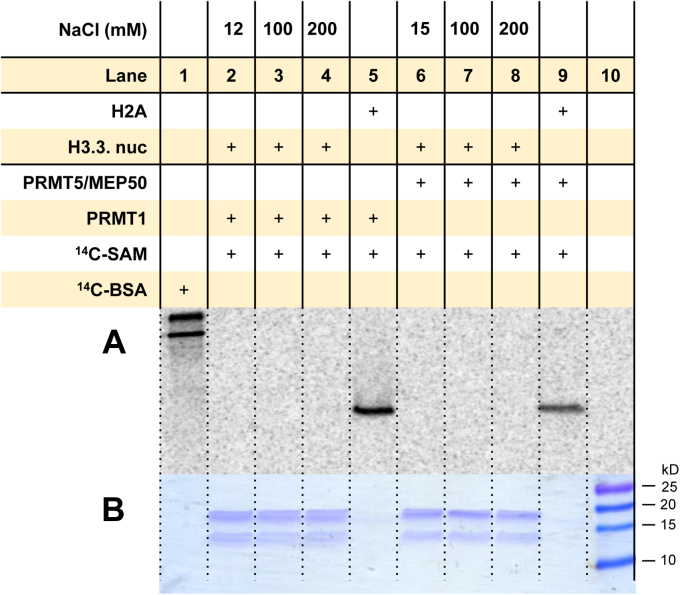 Figure 10