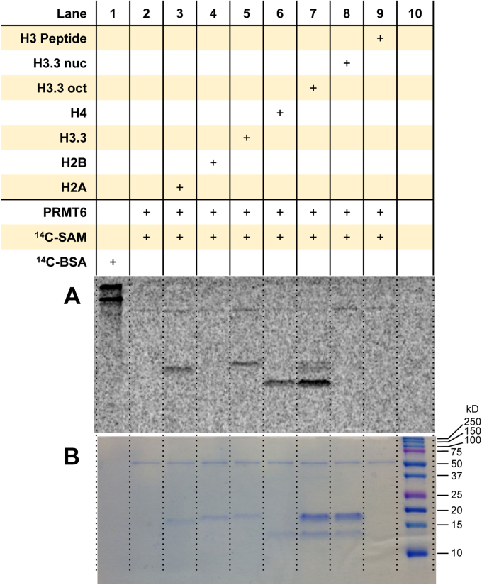 Figure 6