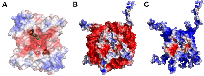 Figure 13