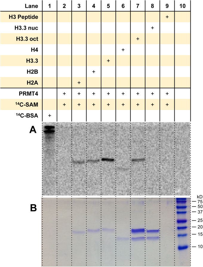 Figure 4