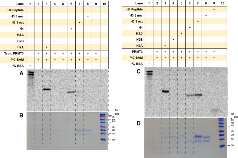 Figure 3