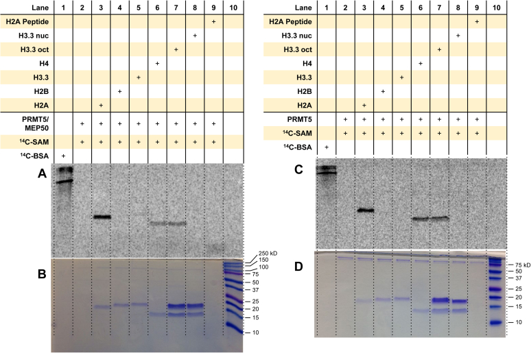 Figure 5