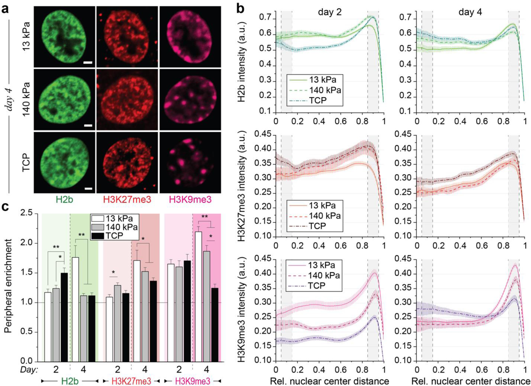 Fig. 4: