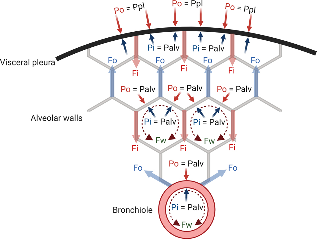 Fig. 1: