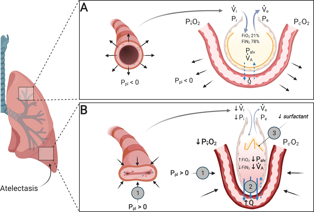 Fig. 2: