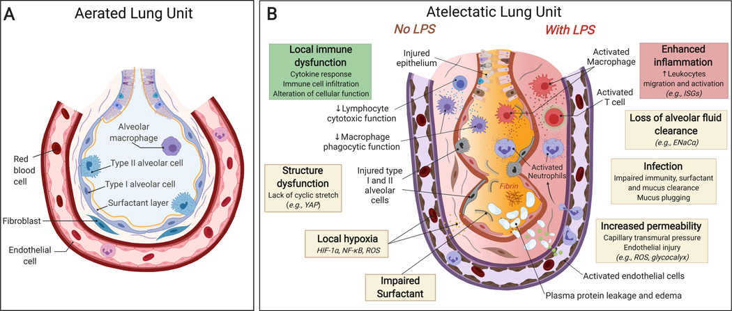 Fig. 6: