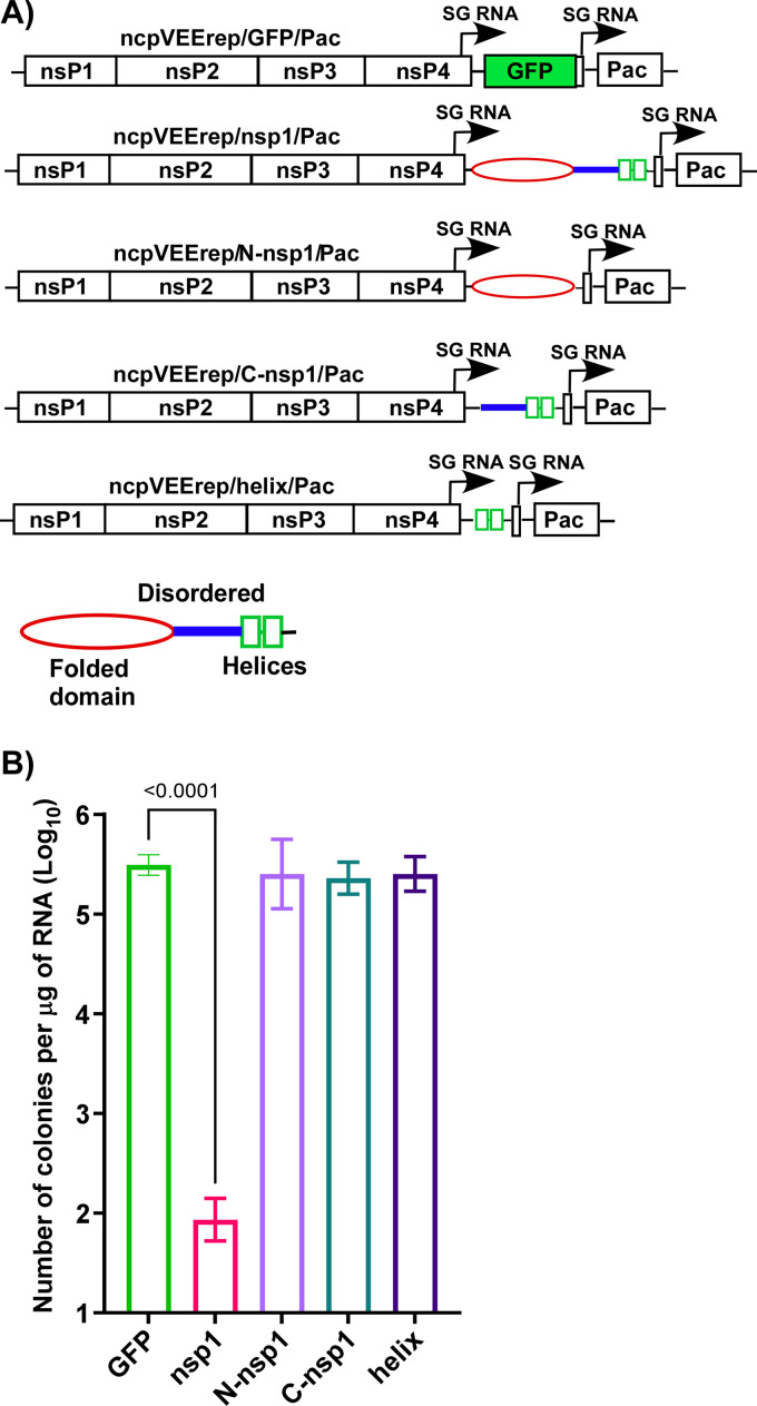 FIG 2