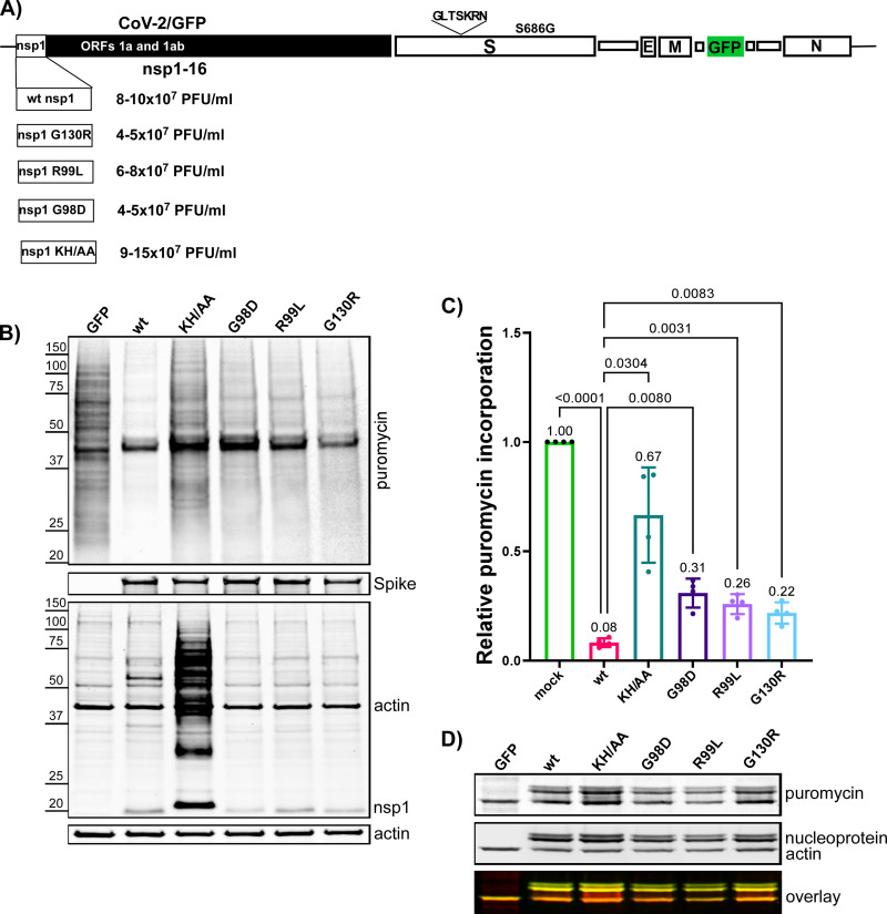 FIG 6