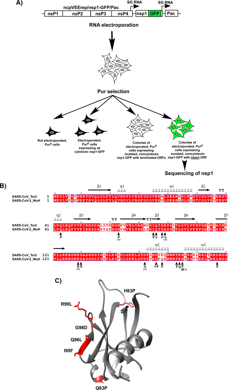 FIG 3