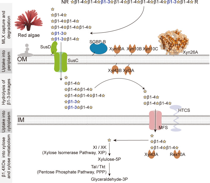 Fig 8