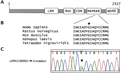 Figure  4