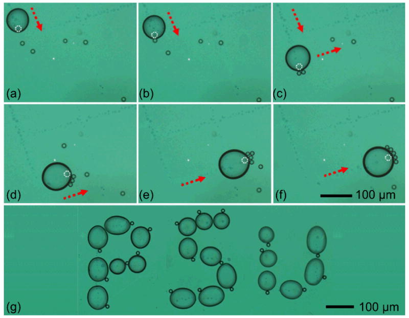 Fig. 6