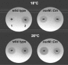 FIG. 5.