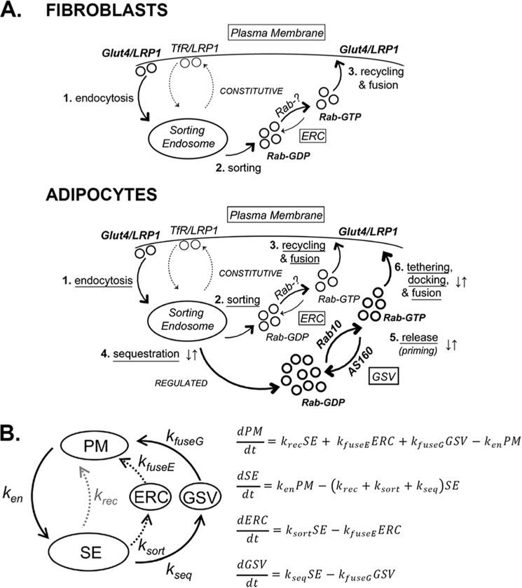 FIGURE 9.