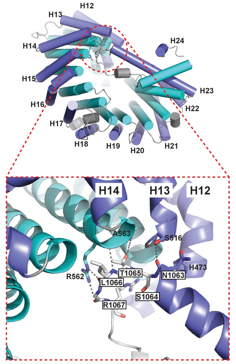 Figure 3—figure supplement 1.