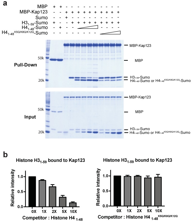 Figure 6—figure supplement 1.