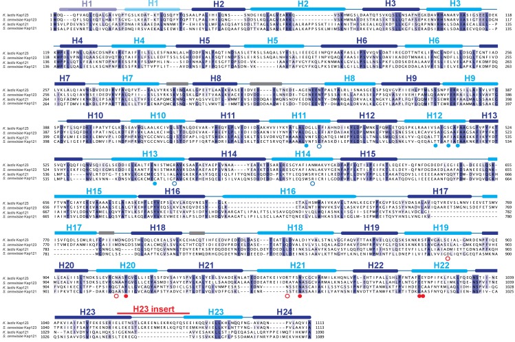 Figure 2—figure supplement 1.