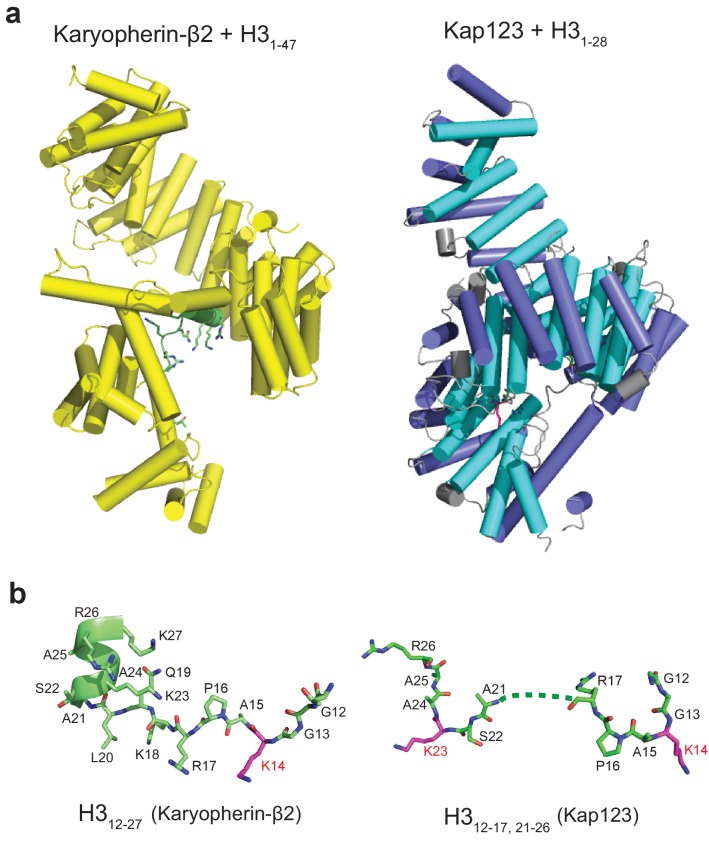 Figure 2—figure supplement 4.