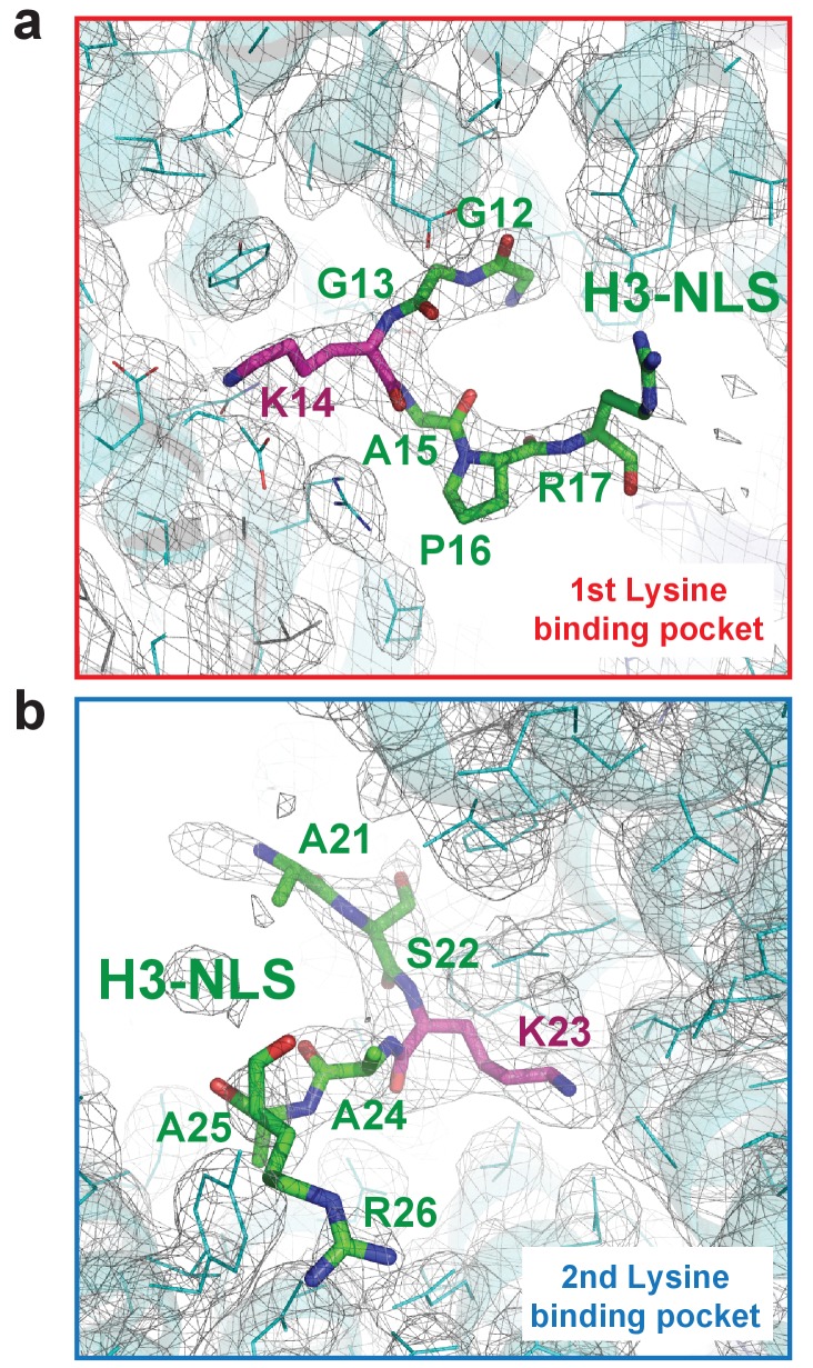 Figure 2—figure supplement 2.