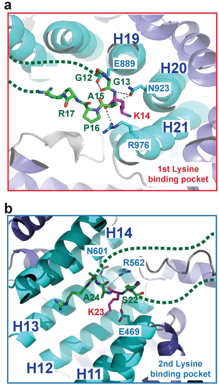 Figure 2—figure supplement 3.