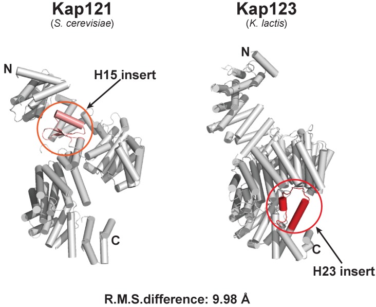 Figure 1—figure supplement 1.