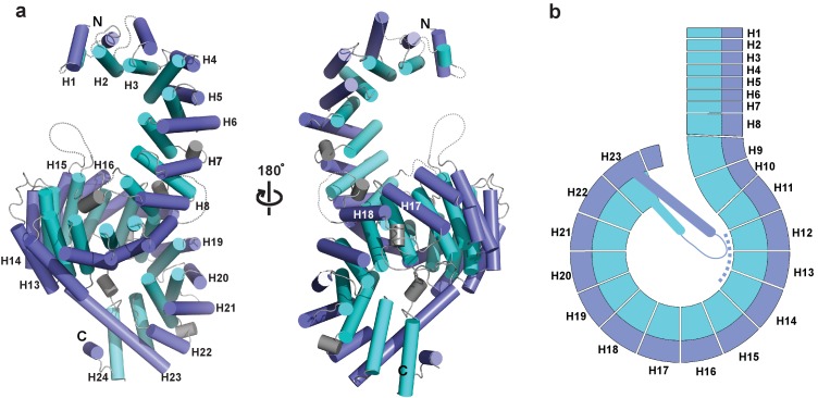 Figure 1.