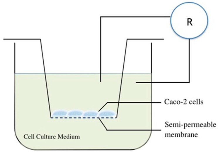 Figure 7