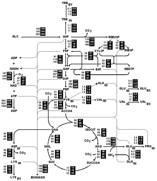 FIG. 2.