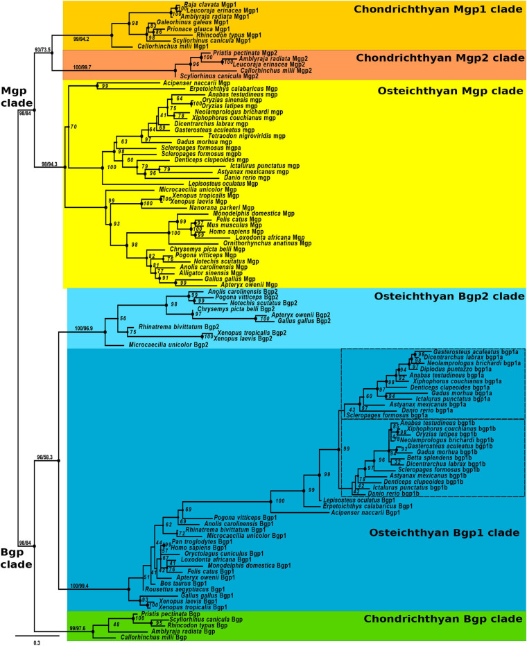 FIGURE 1