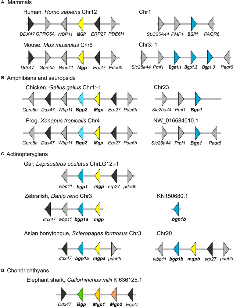 FIGURE 3