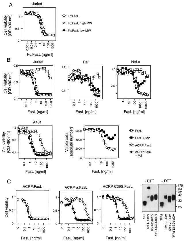 FIG. 3.