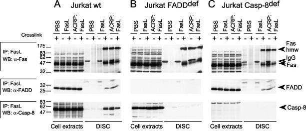 FIG. 7.